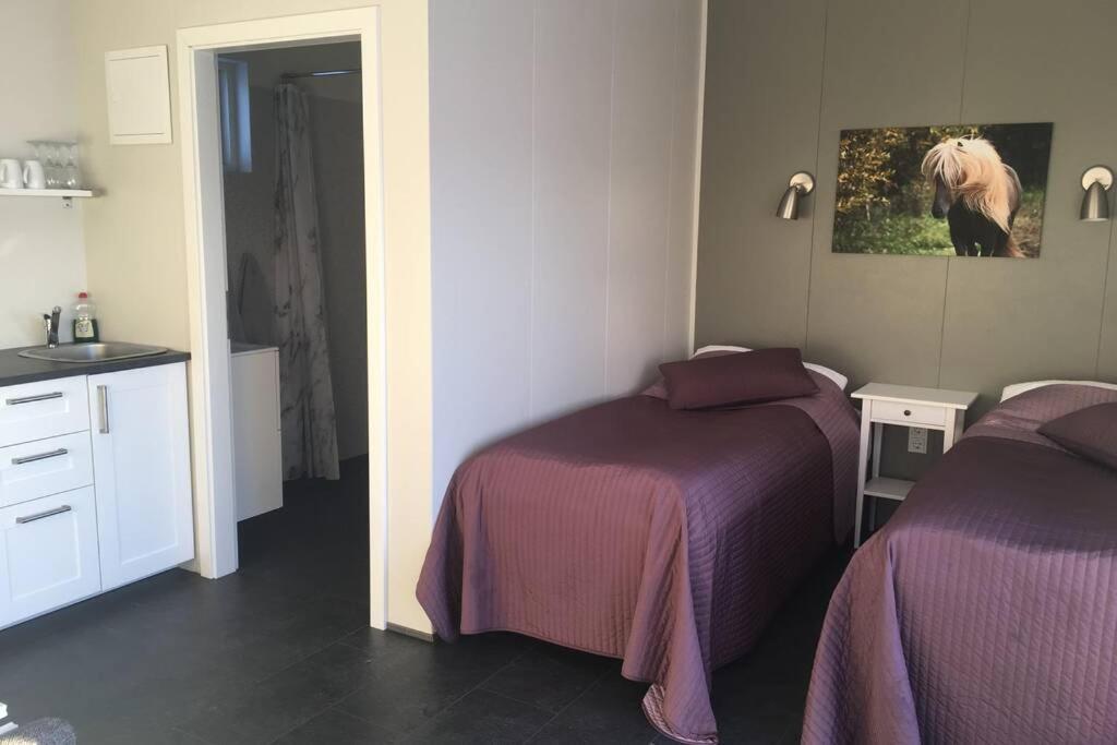Stryta Apartment 3 Olfus Екстер'єр фото